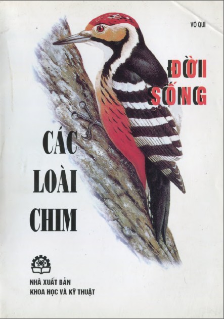 Bìa Ebook
